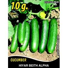 Hıyar Tohumu Salatalık Beith Alpha - 10 g (Takribi 200 Tohum)